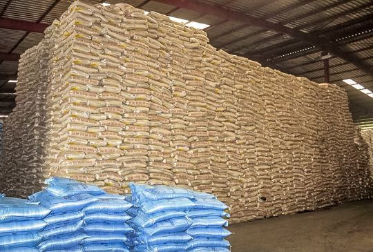 Entrepot stockage de riz port Abidjan