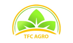 TFC Agro client Icoma